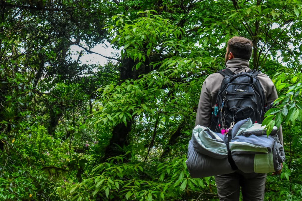 A man with a backpack hiking through a vibrant green forest on a sunny day, representing adventure and outdoor exploration.